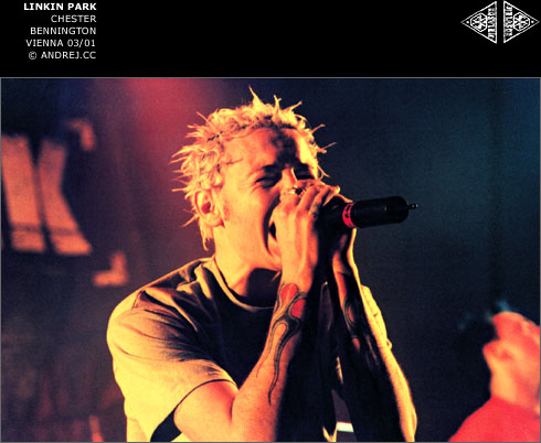 chester4.jpg